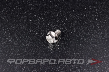 Купить Болт М5*0,8*10 титановый с фланцем FORA TITANIUM DIN6921-5*10Ti