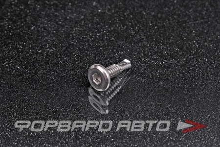 Купить Саморез М5.5 * 12 с внутренним шестигранником 4 мм (нержавеющая сталь) <> 