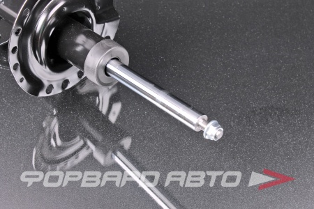 Купить Амортизатор передний, левый MILES DG111034