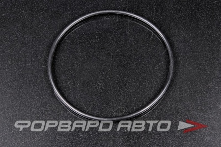 Купить Прокладка топливного насоса AUTO-GUR RR532