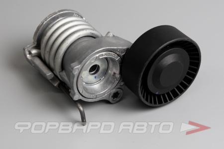 Купить Натяжитель приводного ремня CARBERRY 55CA265