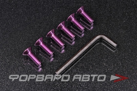 Купить Комплект винтов М5*12 под внутренний шестигранник с потаем, для крепления к адаптеру рулевого колеса, фиолетовый NRG SWS-100PP