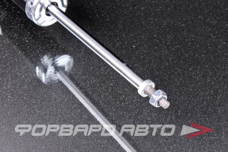 Купить Амортизатор передний, левый MILES DG12099-01