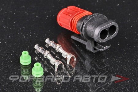 Купить Разъем 2-х контактный дизельной насос-форсунки (без провода) CARGEN AX6812S