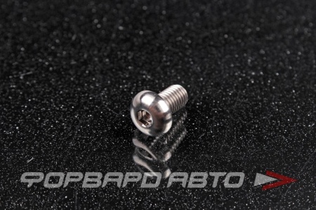 Купить Винт M5*0,8*10 титановый полукруглая головка, внутренний шестигранник FORA TITANIUM ISO7380-5*10Ti