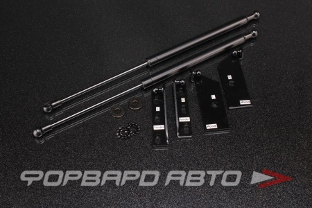 Купить Амортизаторы капота TOYOTA GT86 / Subaru BRZ AUTOBAHN88 