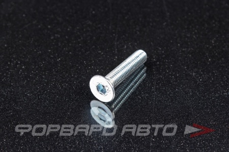 Купить Винт потайн. гол. внутр. шестигр. М 8*40 DIN 7991 пр. 10.9  