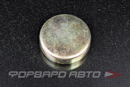 Купить Заглушка блока двигателя WPM-41мм  