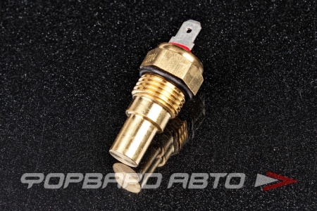 Купить Датчик температуры охлаждающей жидкости Vernet WS2528