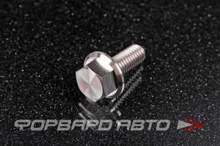 Купить Болт М6*1,0*16 титановый с фланцем FORA TITANIUM DIN6921-6*16Ti