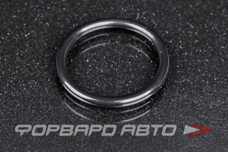 Купить Кольцо уплотнительное NISSAN 38343-0P012
