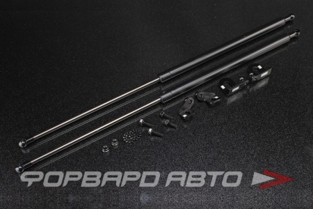 Купить Амортизаторы капота HONDA Civic 06-10 FD AUTOBAHN88 
