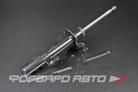 Купить Амортизатор передний, левый MILES DG11583