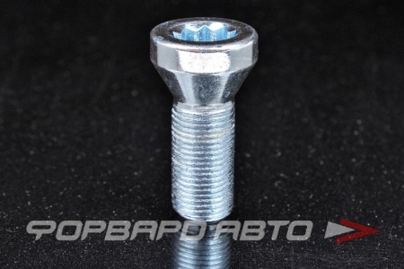 Купить Болт колеса 14*1,25*28 конус, внутр. 10 лучевая звезда, хром (для проставок колесных) ВЕКТОР 277110 SP