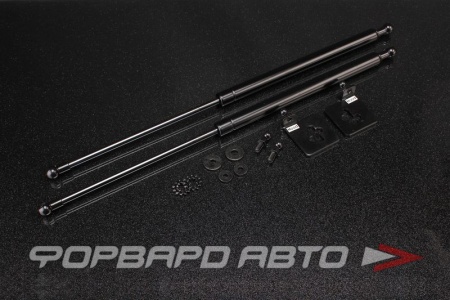 Купить Амортизаторы капота NISSAN Silvia S14 93-98 AUTOBAHN88 