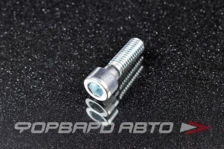 Купить Болт М6*1,0*21 Внутренний шестигранник 5 мм TOYOTA 90110-06017