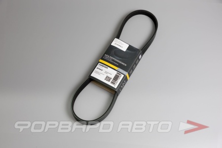 Купить Ремень поликлиновой CARBERRY 5PK847