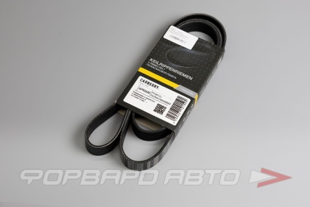 Купить Ремень поликлиновой CARBERRY 6PK1600
