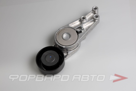 Купить Натяжитель приводного ремня CARBERRY 55CA102