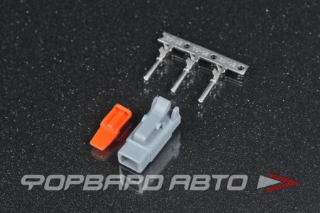 Купить Разъем 2 way DTM-STYLE AEM 35-2618