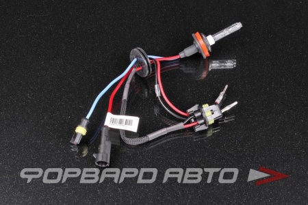 Купить Лампа ксенон H8/H11 6000K AMP SARITI 