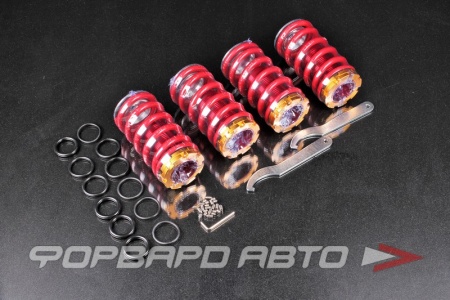 Купить Пружины с занижением для Honda Civic 2002-2006 EPMAN TK-SP0206