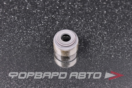 Купить Колпачок маслосъёмный NOK XV0003-E0