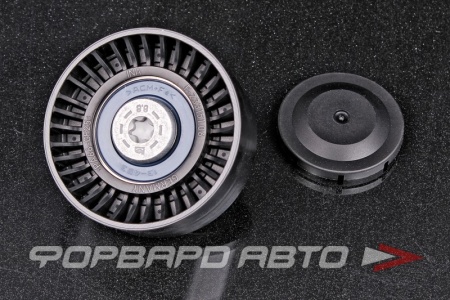 Купить Ролик приводного ремня (BMW E53, E60, E61, E63, E65, Ssang Yong Actyon, Rexton, Korando, Kyron) INA 532 0342 10