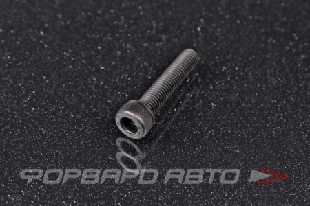 Купить Винт цилиндр. с внутренним шестигранником М5*25 DIN912 высокопр. пр.12,9  