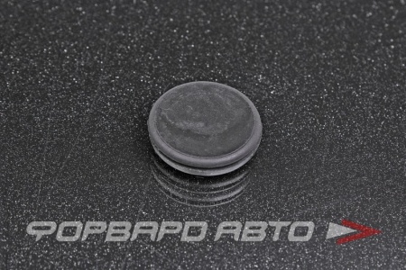 Купить Заглушка резиновая 22,23мм <> 