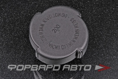 Купить Крышка расширительного бачка 2,0 bar PATRON P16-0004