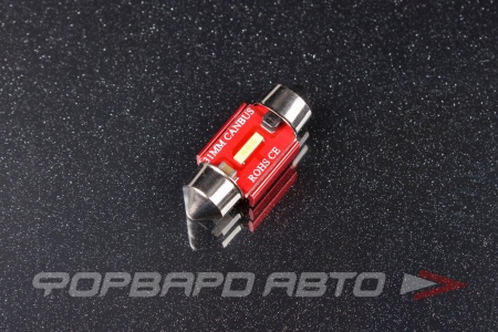 Купить Лампа светодиодная 12-24V C5W CANBUS (салонная 31мм)  белая SKYWAY S08202068