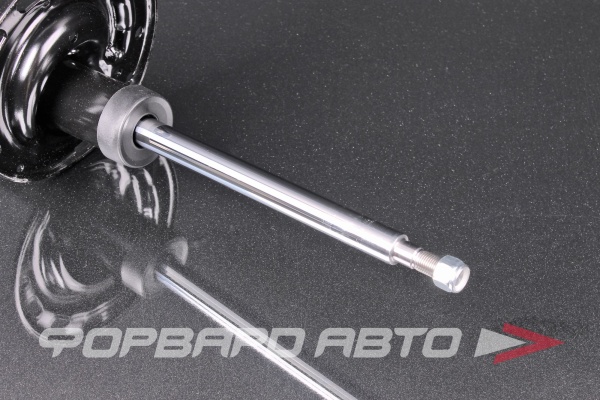 Амортизатор задний, правый MILES DG21069