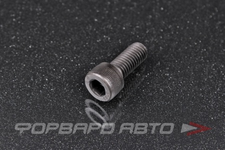 Купить Винт цилиндр. с внутренним шестигранником М8*1,25*20 DIN912 высокопр. пр.12,9  