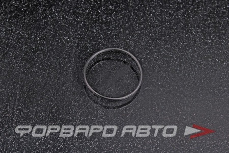 Купить Кольцо уплотнительное маслостойкое 19*1 NOK OR-01.00_019.00