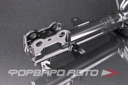 Купить Амортизатор задний, правый MILES DG21606